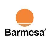 BARNES BARMESA LOGO