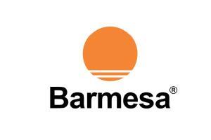 BARNES BARMESA LOGO